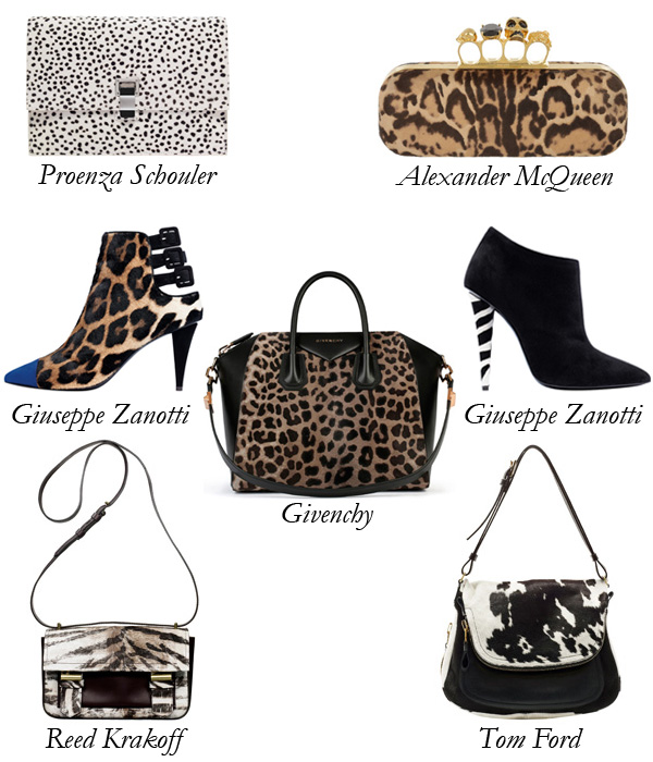 Animalia Accessories