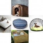 Top 5 Snob Dog Beds