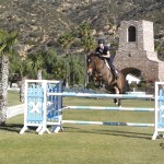 Stefanie Saperstein Horse Jumping