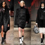 DKNY Fall 2014 Collection