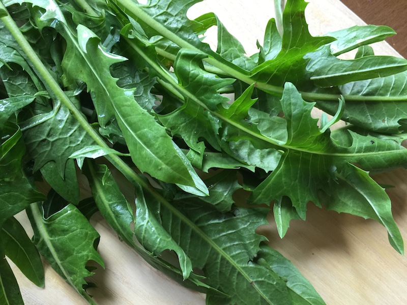 How Dandelion Greens will Illuminate Your Skin