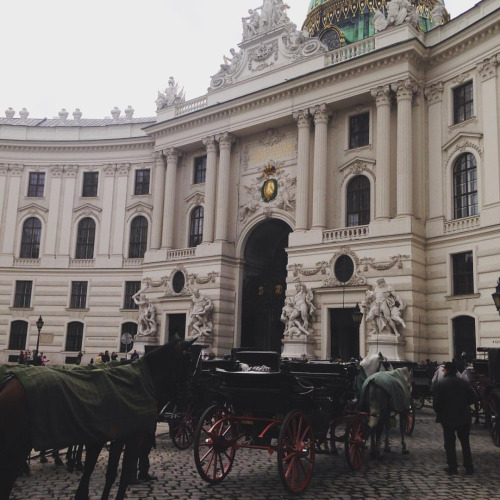 The Snob Guide to Vienna