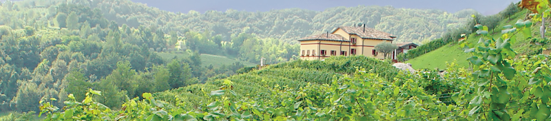 Snob Guide to Italian Wines