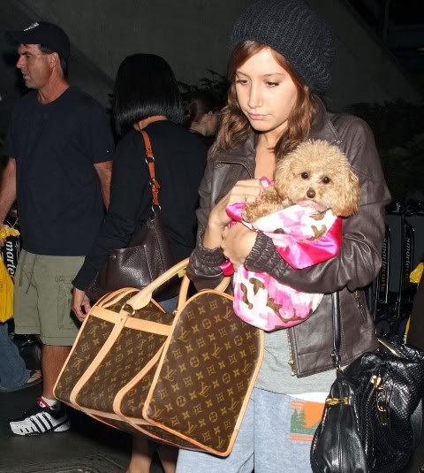 ashley-tisdale-lax-maui-01.jpg