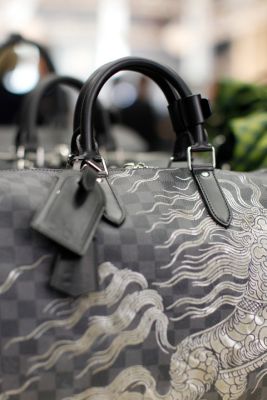 Modern Designer Murses : Louis Vuitton 2011 Mens Bag