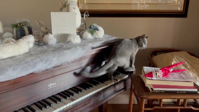 Stampy learns to play the piano better than me.